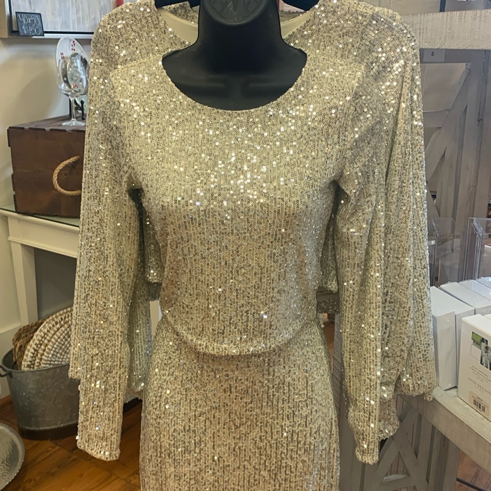 Z supply Aurora Sequin Top
